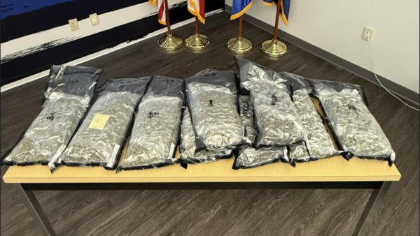 10 Pounds of Cannabis Found in Suspicious Package at Auburndale UPS Store
