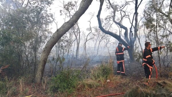 10-Acre Brush Fire in Lithia Leaves One Civilian in Critical Condition