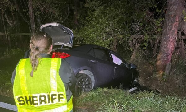 33-Year-Old Auburndale Man Killed After Crashing Into Large Tree on Thornhill Road