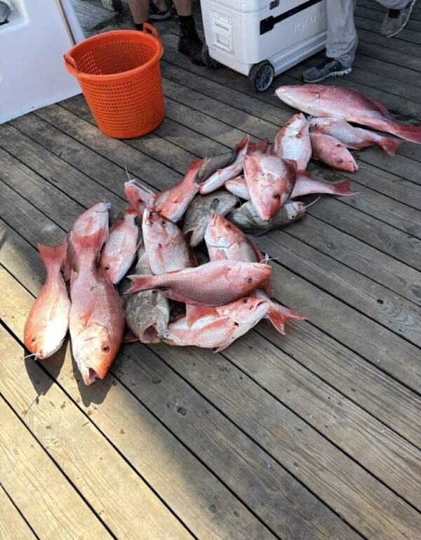 Florida Expands Atlantic Red Snapper Season
