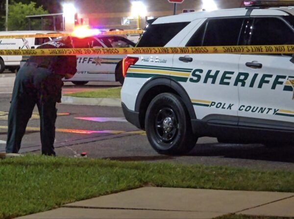 3-Year-Old Girl Fatally Struck by Pickup Truck in Winter Haven