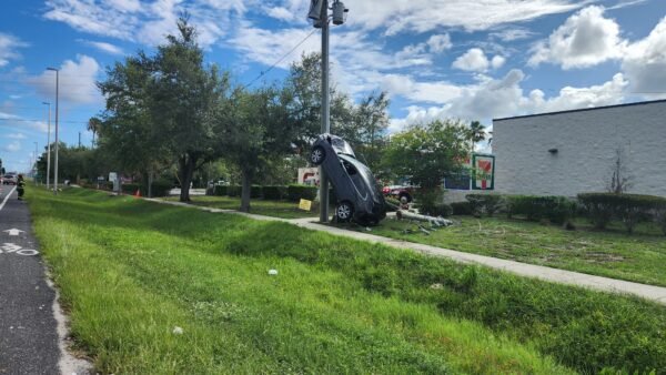 Driver Loses Control on U.S. 19, Crashes Into Ditch and Utility Pole Guide Wires