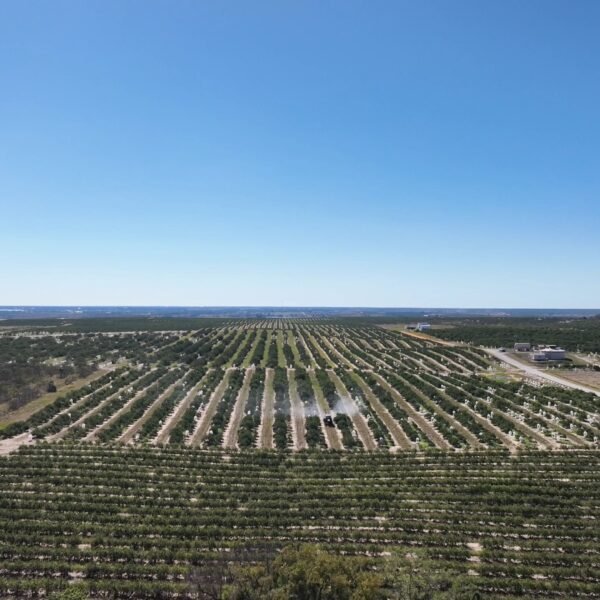 Polk County Wins Court Case Over Lake Wales CRA Expansion