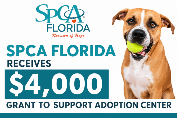 Lakeland’s SPCA Florida Receives $4,000 Grant from Greater Good Charities
