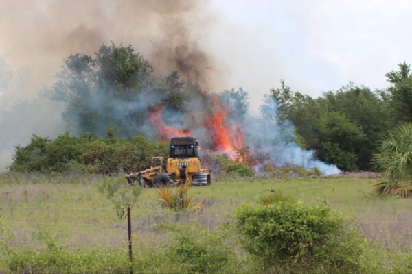 25-Acre Prescribed Burn Planned Today at Circle B Bar Reserve