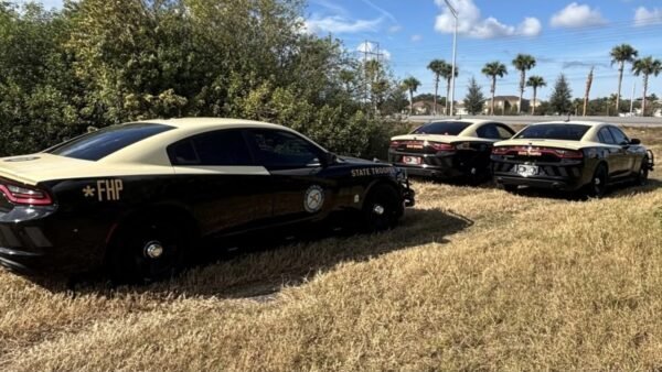 49-Year-Old Umatilla Man Dies After Two-Vehicle Crash in Lake County
