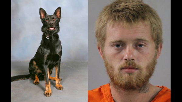 Sheriff Judd Reveals New Details in Deadly Shooting That Injured K-9 Ace