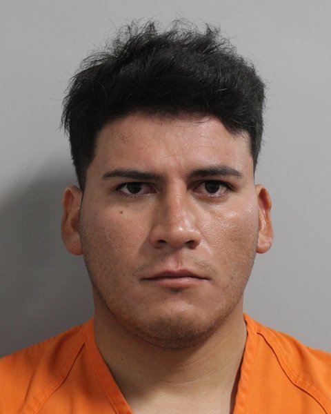 Honduran National Breaks Into Mulberry Home, Attacks Elderly Woman