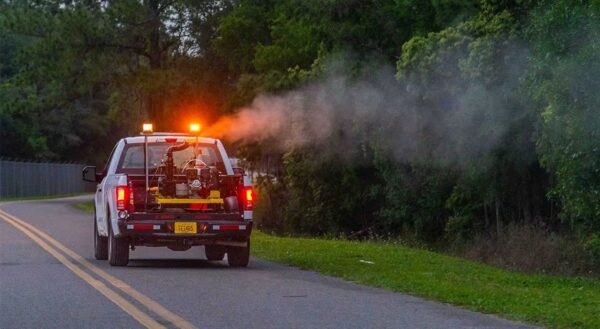 Polk County Mosquito Control Staff Monitoring Dengue Fever Outbreak
