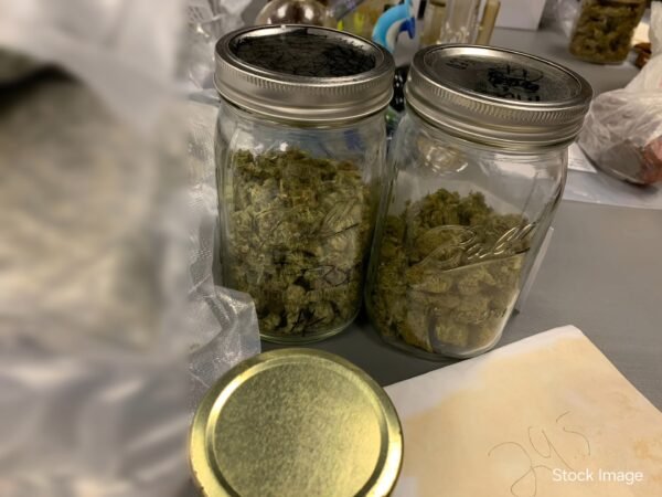 77 Grams of Cannabis Removed From Winter Haven Streets