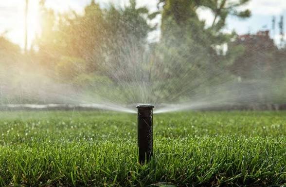 Lakeland Approves Fines Up to $500 for Watering Violations