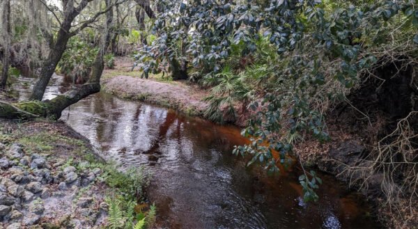 1,000 Acres of Polk County Farmland Preserved in $7.2 Million Deal