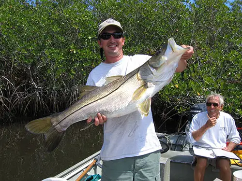 Snook Recreational Harvest Season Opens Today Across Much of Florida